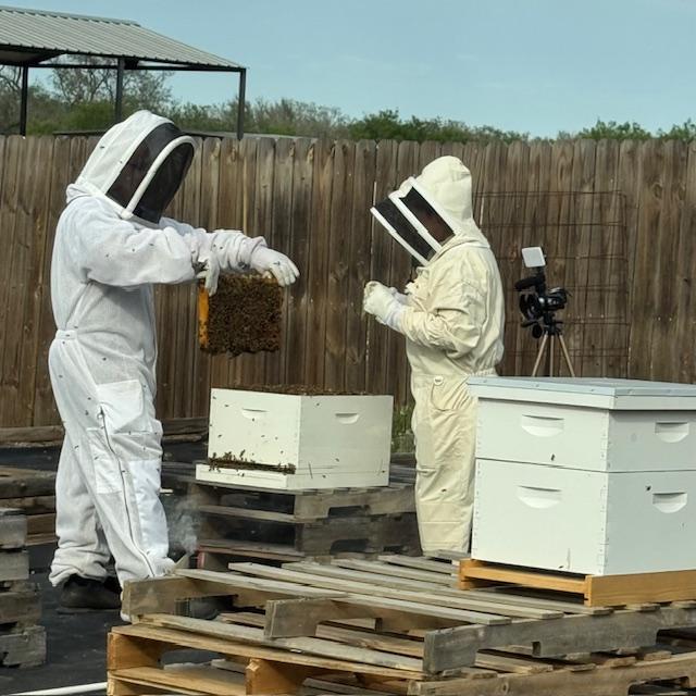 hives050425b hives050425b