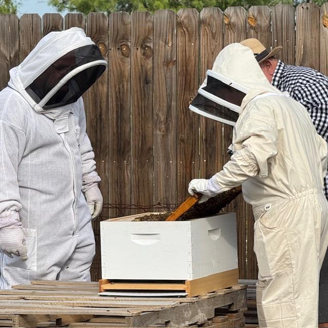 Joanna found a queen and David stepped over to see it.