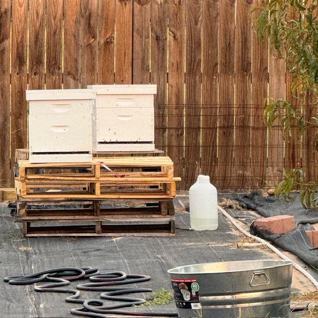 Here is our hive set up along with some liquid bee food. David bought 2 hives and the bees are out and about exploring their new home. Here is our hive set up along with some liquid bee food. David bought 2 hives and the bees are out and about exploring their new home.