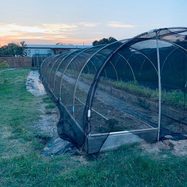 Our hoop houses are covered in shade cloth to protect our plants from too much sun.
