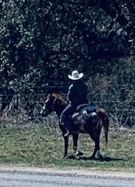 I have always wanted a horse. Our next door neighbors are now living one of my dreams. Isn't he pretty? I have always wanted a horse. Our next door neighbors are now living one of my dreams. Isn't he pretty?