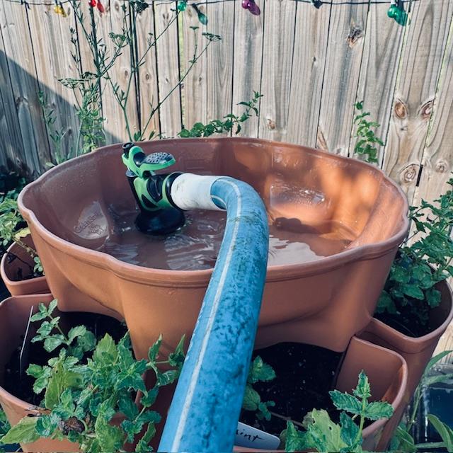 Watering the plants in my GrowStalk planter in the backyard.