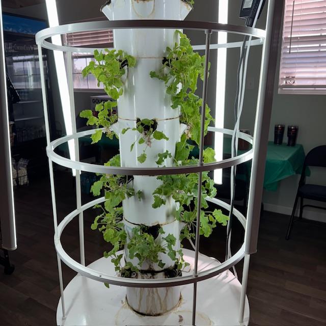 Our hydroponic grow tower in the Farm Store looks good now that I filled it with water and added fertilizer. The leaves are big and they look happy.
