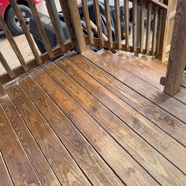This is ice on the side porch and stairs. The dogs have had no problem going up and down but it is coated with ice.