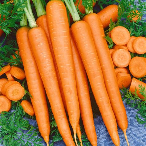 The Imperator 58 Carrot is third on our Top Ten Easiest Vegetables To Grow From Seed List.