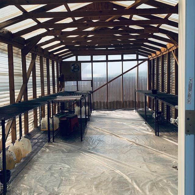 The inside of my greenhouse built in 2022. It was supposed to be so the employees would stop killing my things but now the new employees won't stop going in it. I think I am giving up as they are allowed to continue.