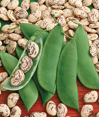 Jackson Wonder lima beans are a popular legume plant.