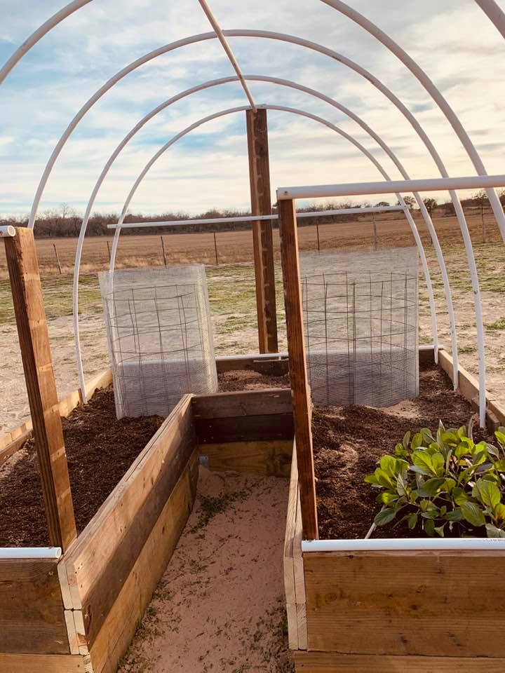 The keyhole garden now has PVC pipes to hold shade cloth, tomato cages, and some plants.