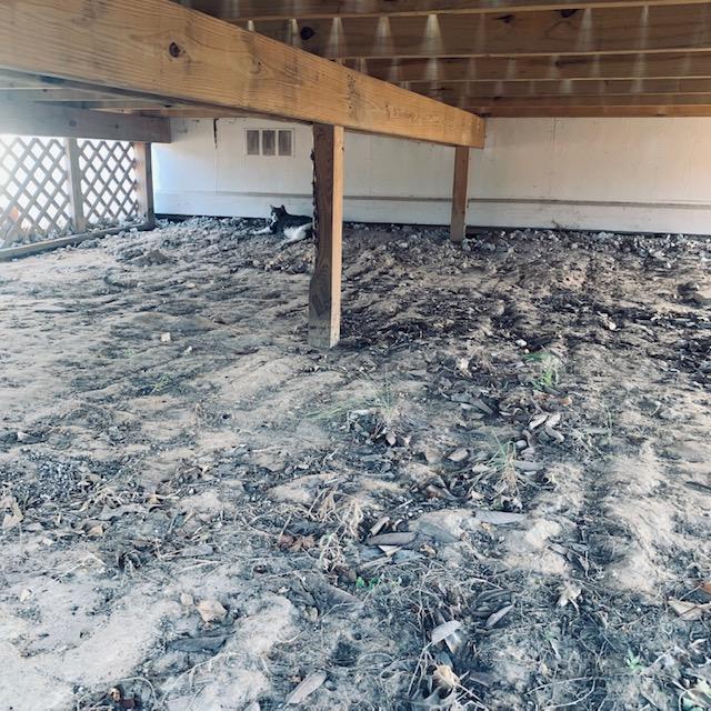 Kitty got under the large front porch just fine but she would not come out until we cut her out. I took her in and gave her water, food, and a nice cozy throw rug to chill on.