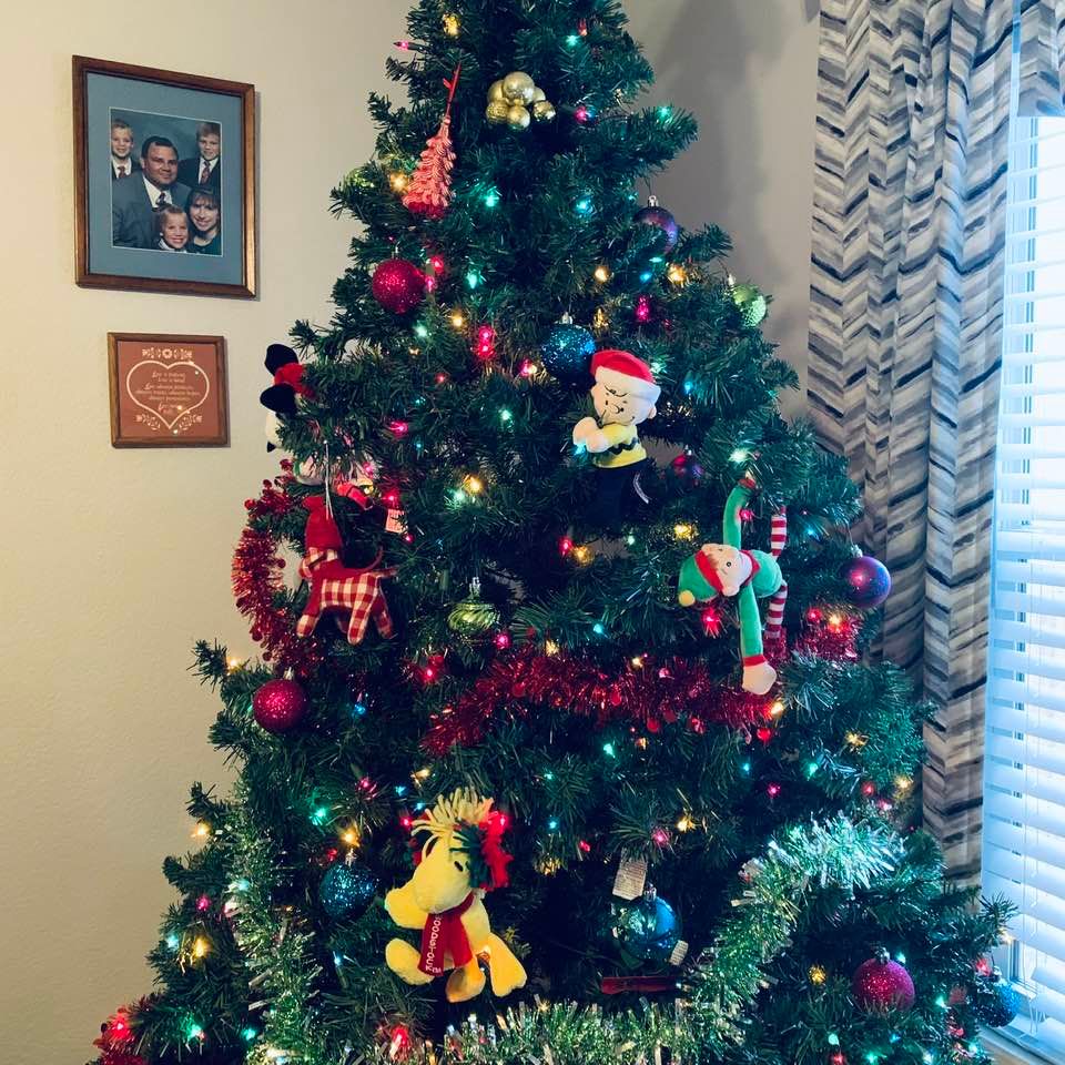 Our Christmas tree has a few large ornaments on it that are stuffed. I did not put much on it this year due to lack of time.