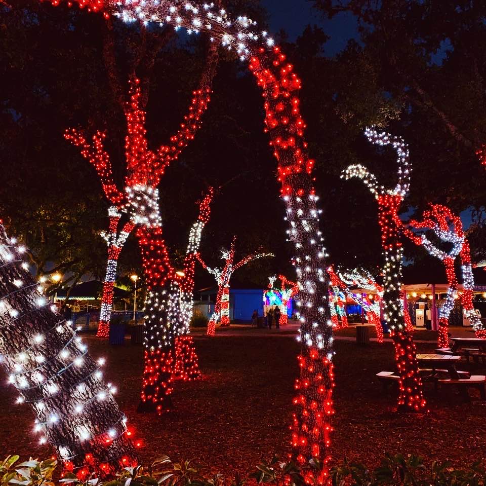 Sea World San Antonio knows how to put up Christmas decorations!