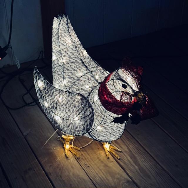 I bought this light up chicken from Tractor Supply last year.