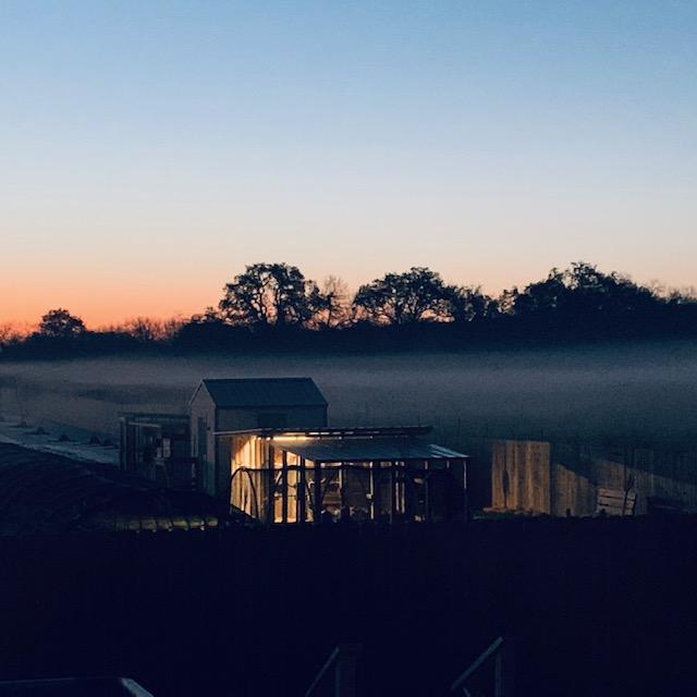We added lights in the summer of 2021 to the chicken coop. We don't always leave them on but this is a view from our back deck showing the light on in the coop. We added lights in the summer of 2021 to the chicken coop. We don't always leave them on but this is a view from our back deck showing the light on in the coop.