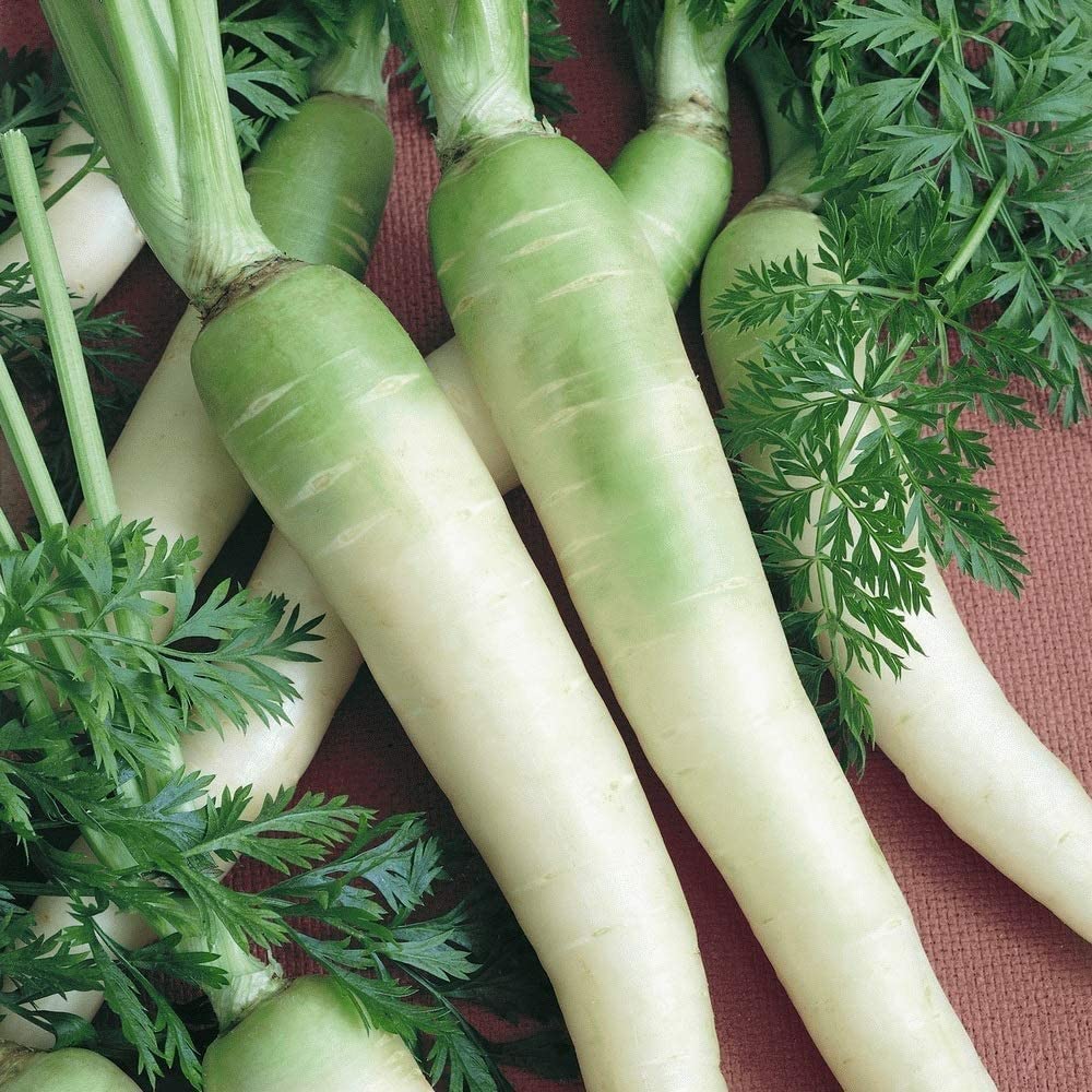 Grow carrots like the Lunar White.