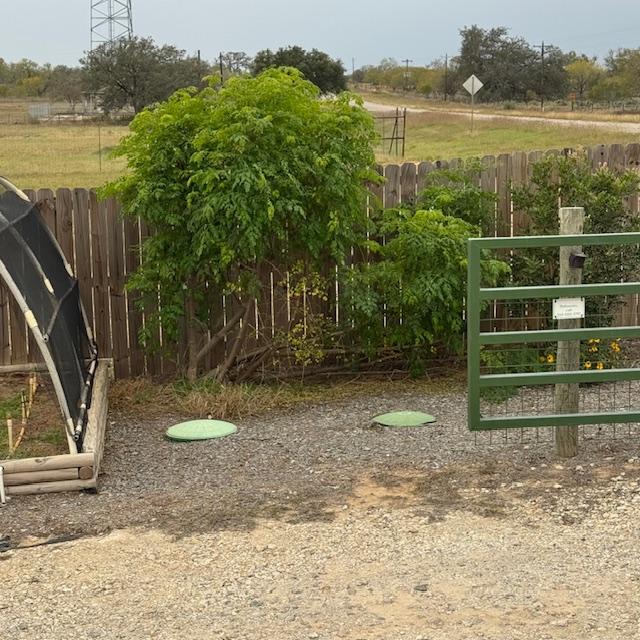 Our Moringa tree grew up and grew several more branches lying on the ground. It is still looking very good for the cold we have had.