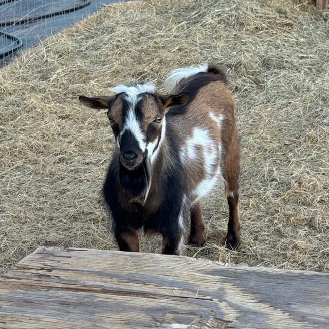 Markie is such a handsome looking dude, isn't he?