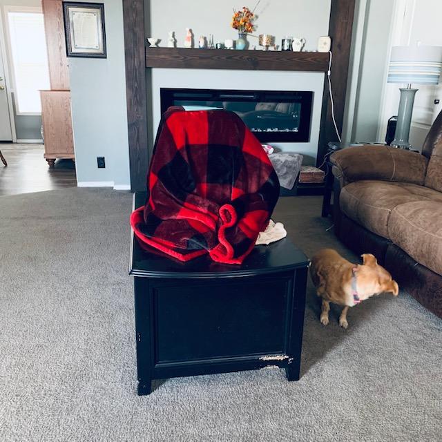 Ethel thinks the gifts are for her.