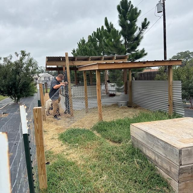 Matt came over to put up a new triple fence piece where Norton broke through.