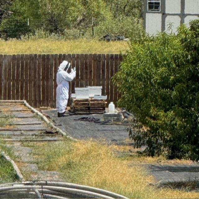 Matt just put his suit on and I am not sure if he is feeding them here.