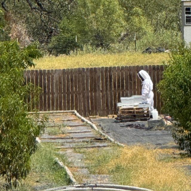 Matt with the hives.