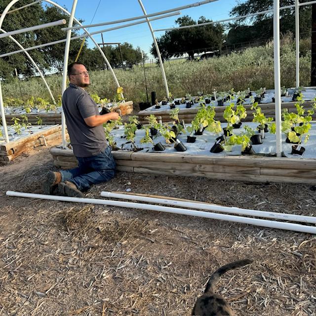 Here is Matt planting cucumber transplants. Looks like you can see a part of our little Trump who is now gigantic at nine months old. Here is Matt planting cucumber transplants. Looks like you can see a part of our little Trump who is now gigantic at nine months old.