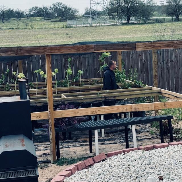 The trees and plants have been brought out of my broken greenhouse. Now we can fix the roof broken by hail several weeks ago.