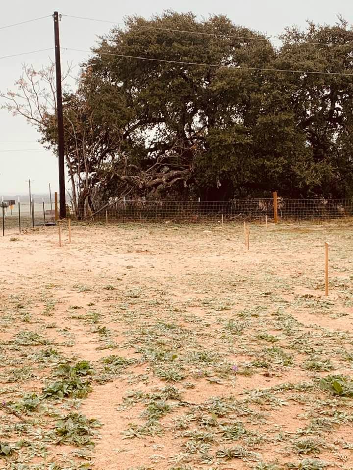 The markers show where the septic, store, and restrooms will be this coming spring.