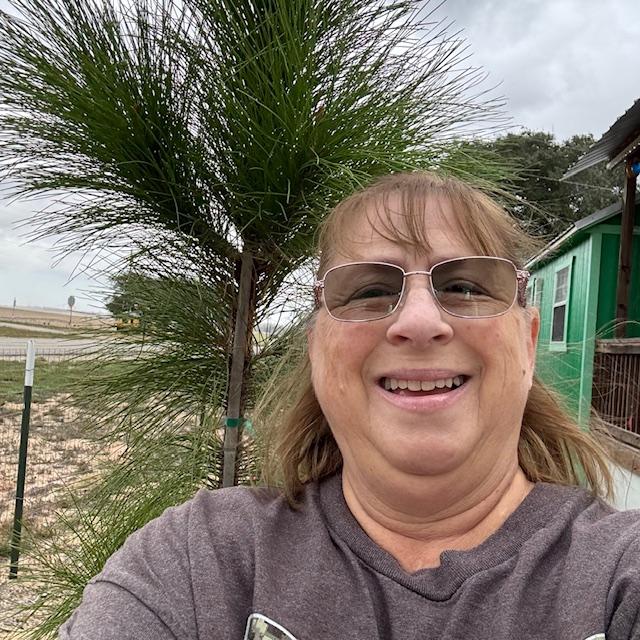 We planted some new pine trees last winter and they are finally starting to grow. Here I am in the front with one of them.