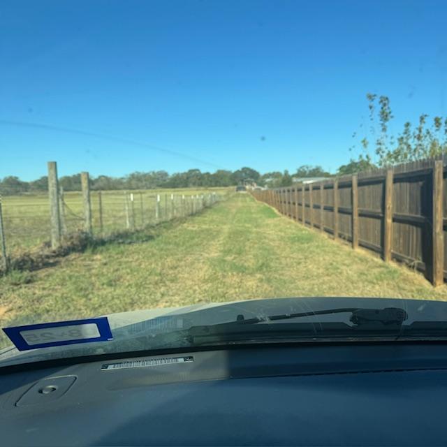 I drove around this morning in my car. This is about the middle of our property so I took this photo so you could see. To the right is the orchard. To the left, our vacant property.