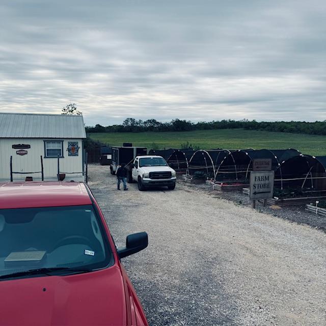 You can see the truck and mobile pet groomer trailer as well as our new land, all green and pretty.