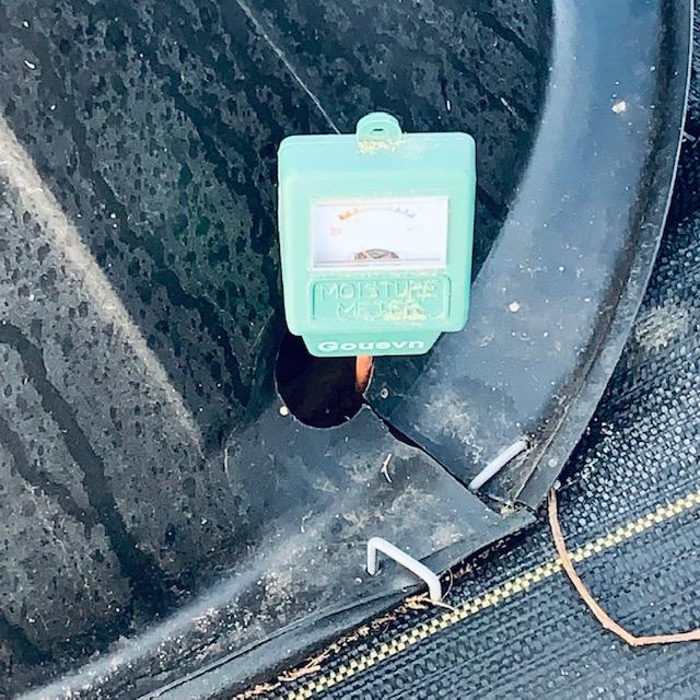 This is the moisture meter and it is not out of the red zone. You can say you watered but the meter says no. That is why the trees are dying or dead. No water = Dead trees. Duh.