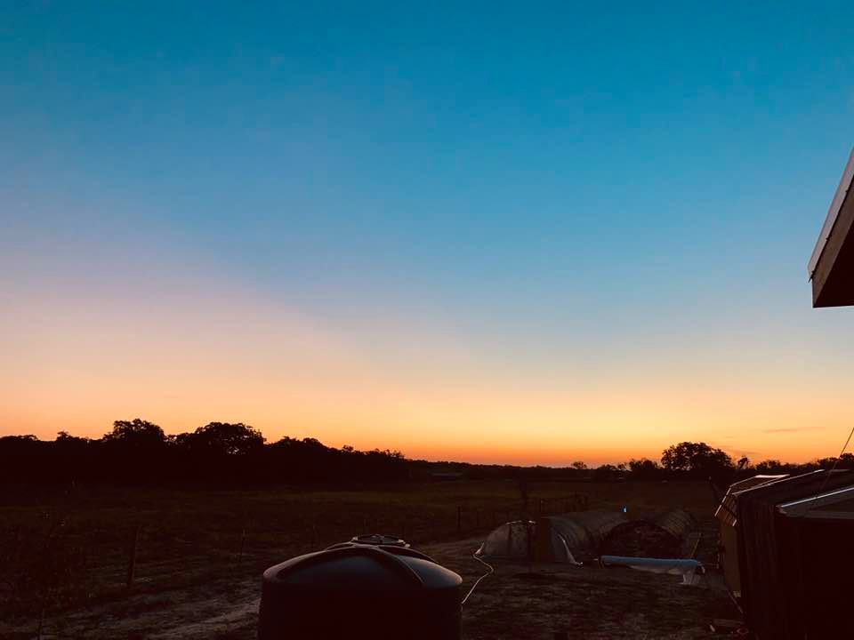 This morning's sunrise over the greenhouse  and backyard garden.