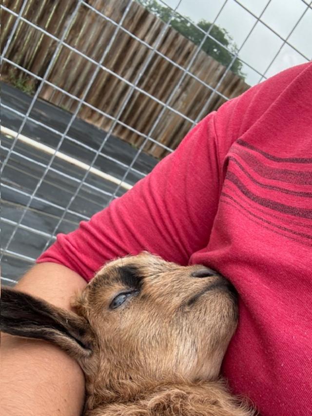 Matt is holding baby Ralph, only 5 days old.