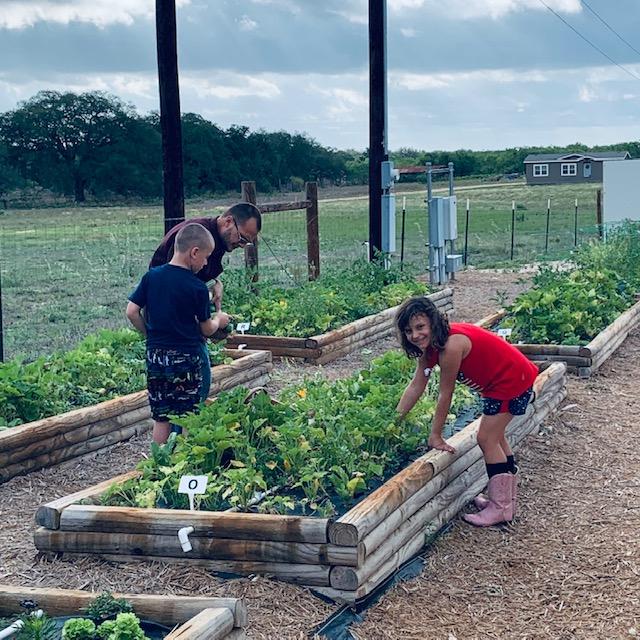 Uncle Matt teaching the kids how to weed the garden. No, they were not planting zinnias.