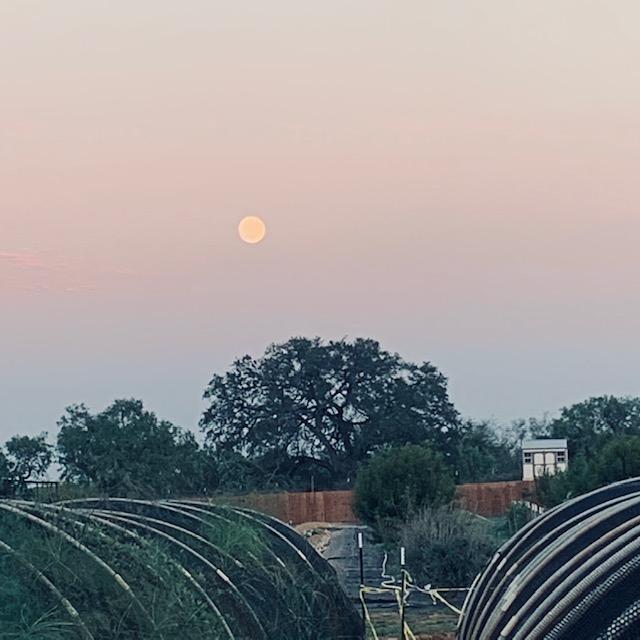 The full moon looked very cool at 8pm.