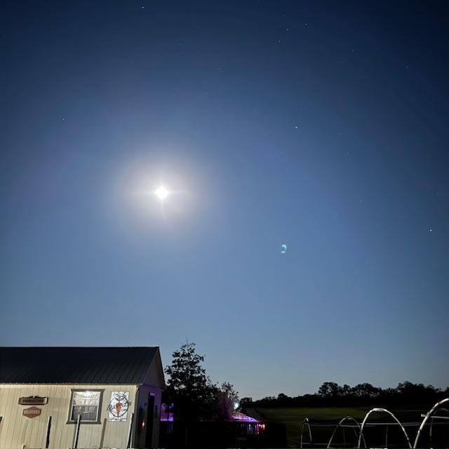 The moon was so bright making the comet a bit more difficult to see.