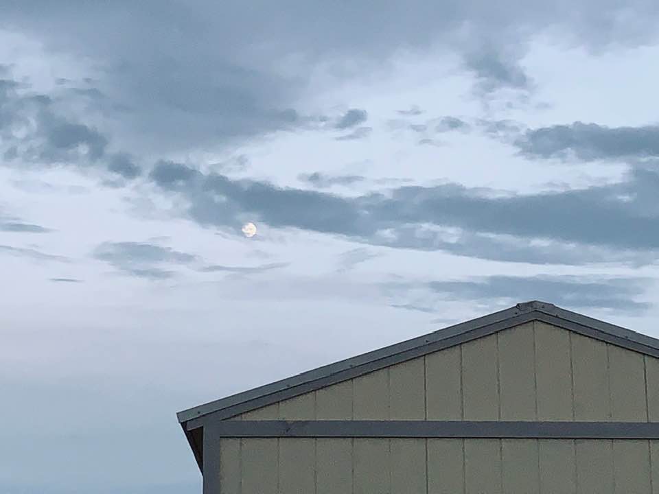 The moon came out early this evening above the shed.