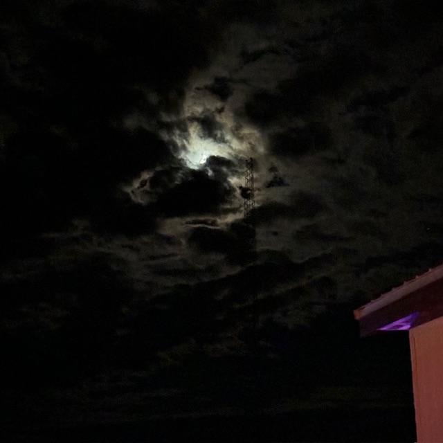 No filters on this photo that I took while I had Ethel out this evening after the debate.