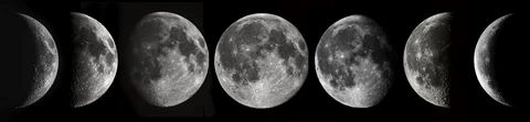 Planting by the moon is easy once you understand the different phases of the moon.