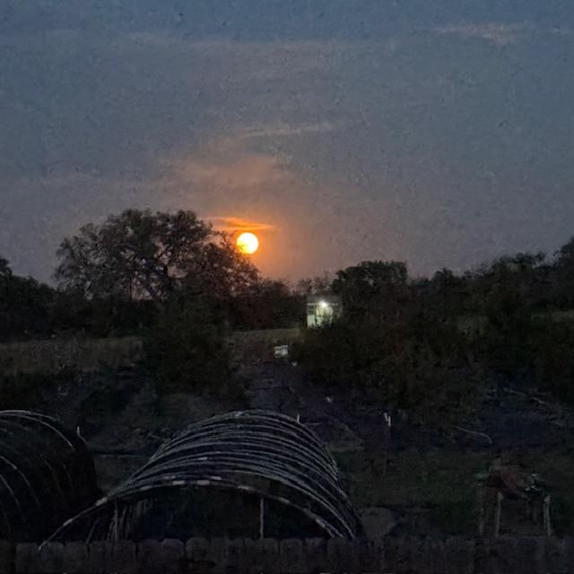 The full moon came up this evening. Wasn't it gorgeous?