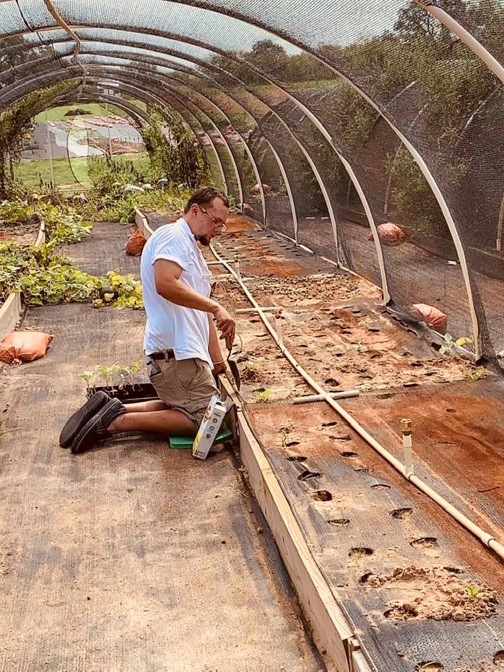 Matt is planting seeds out in the sand in a hoop house in spring.