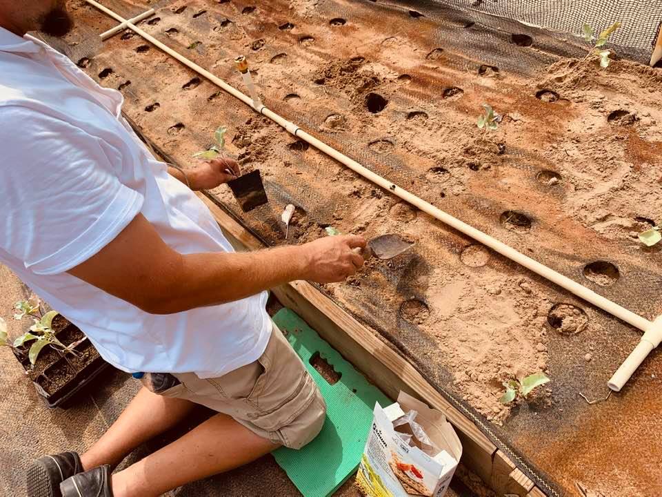 Matthew is kneeling in shorts on a foam pad so planting is easier.