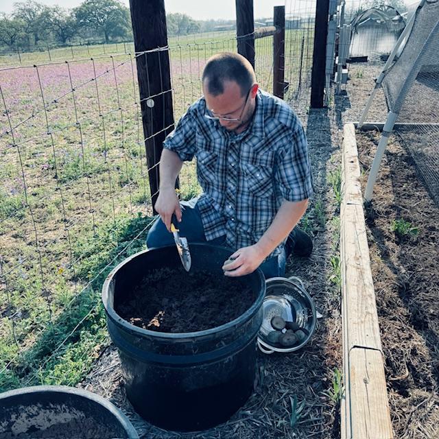 Matt won't eat them, but he can plant potatoes for sure. We planted them in pots so the gophers don't take them. Matt won't eat them, but he can plant potatoes for sure. We planted them in pots so the gophers don't take them.