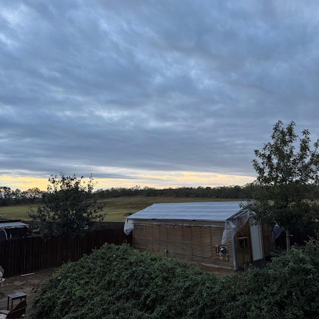 This was the view when I took Ethel out in the backyard this morning.