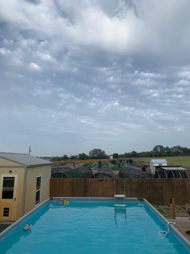 Early mornings are peaceful and sometimes cool, although most now are humid.