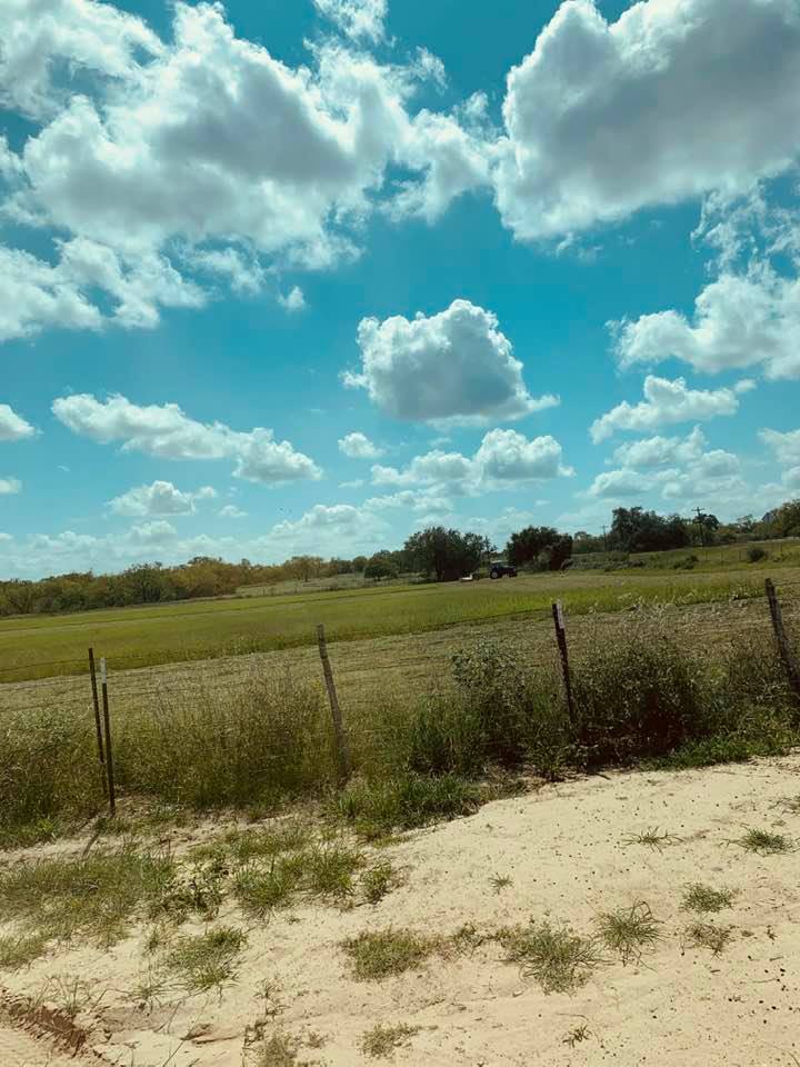 The hay field next to us was finally mowed this afternoon!