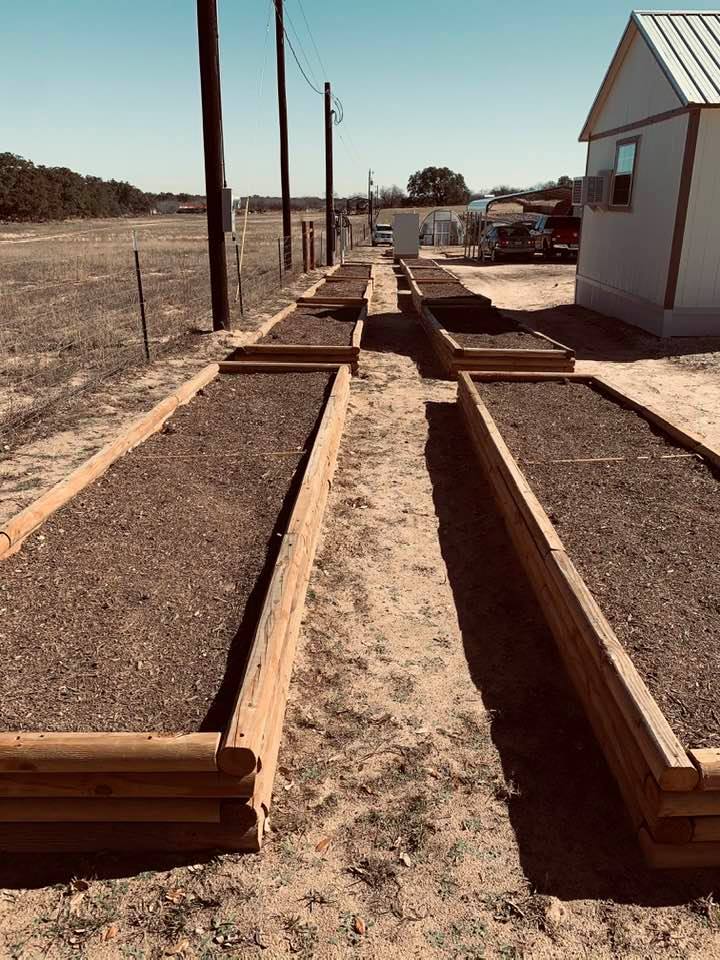 How to fill all of our new empty garden beds? Get a vegetable garden planner and draw diagrams of each bed and mark down how you plan to fill them all. How to fill all of our new empty garden beds? Get a vegetable garden planner and draw diagrams of each bed and mark down how you plan to fill them all.