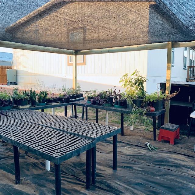 This is the plant area outside of my greenhouse. Covered in shade cloth, it will protect the plants from the severe sun that we get. Fixing & transplanting our plants, September garden chores.