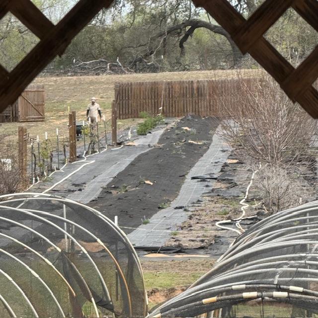 One of Nacho's people working way out back.