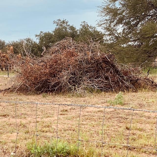 This branch pile is first on the list for chipping.